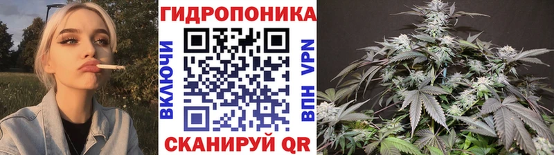 Канабис индика  Унеча 